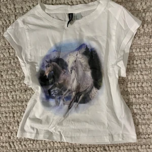 Graphic tee - Säljer denna topp från H&M som knappt har används. Storlek XS och går lite under midjan på mig med S!