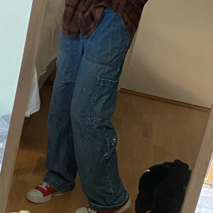 Carogobyxor - Bra skick