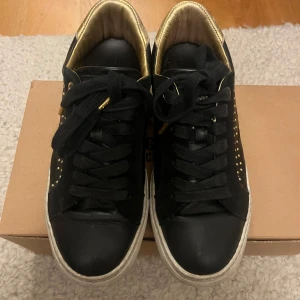 Zadig & Voltaire sko - Säljer nu mina älskade Zadig skor🖤🖤 nån pärla saknas på sidorna men för övrigt i bra skick! Låda tillkommer<3