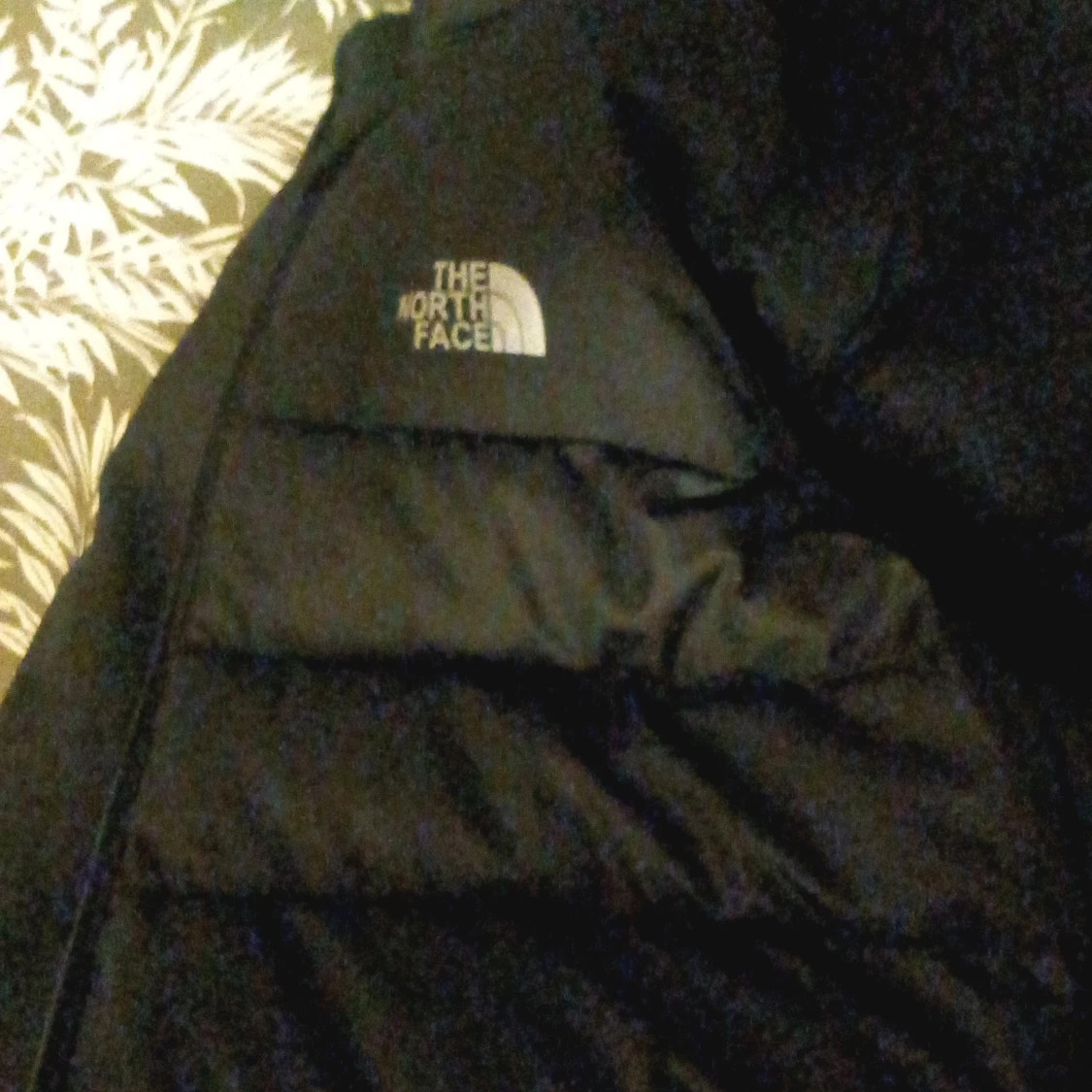 North face vest