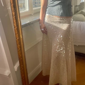 Glittrig kjol Zara - Storlek M, finns prislapp kvar. 
