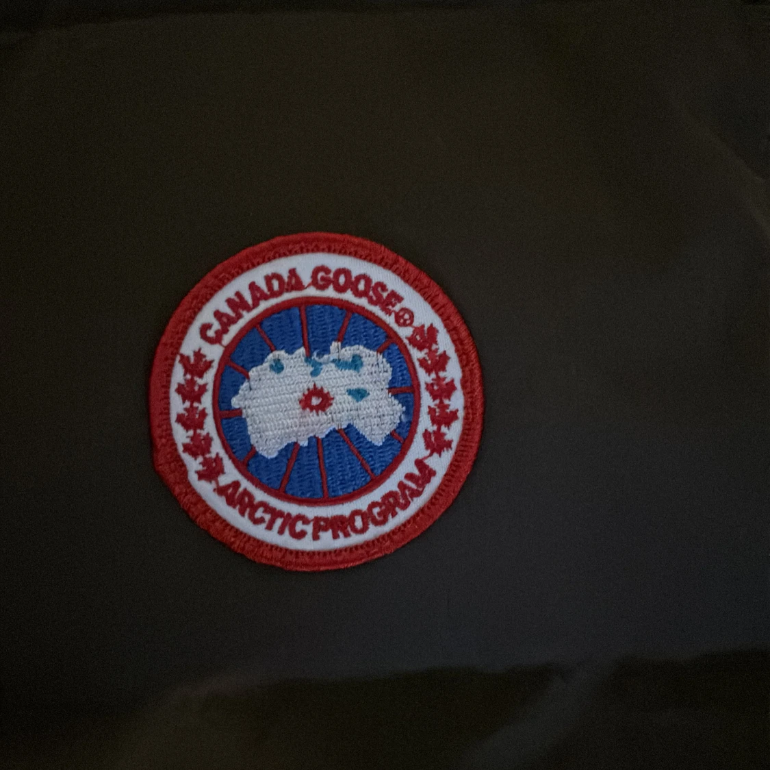 Brun dunväst från Canada Goose - 93