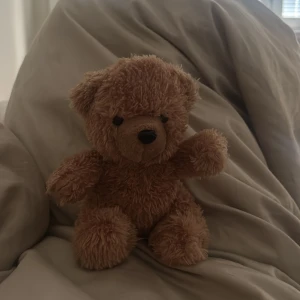  Gullig Björn  -  Jättemjuk. gullig. brun. lite skadad men kan sys. 