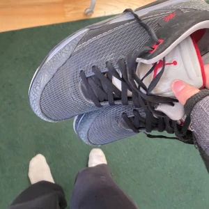 Jordans 3 - Sköna 3or som jag inte har använt på länge  44
