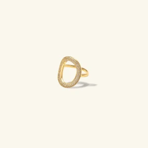 ANI Ring - Elegantaste ANI ringen! Nypris 950kr🌱Skriv om ni har frågor💚