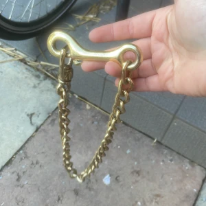 Kedja - Kedja till grimskaft i guld. Rengör den efter jag hör om något är intresserad 