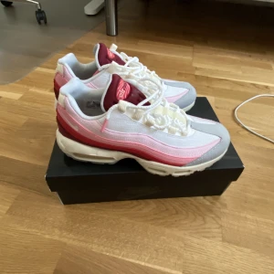 Air Max 95 anatomy of air - Nyscicka aldrig andvända. Nypris 2000kr. Pm mer bilder 💯💪