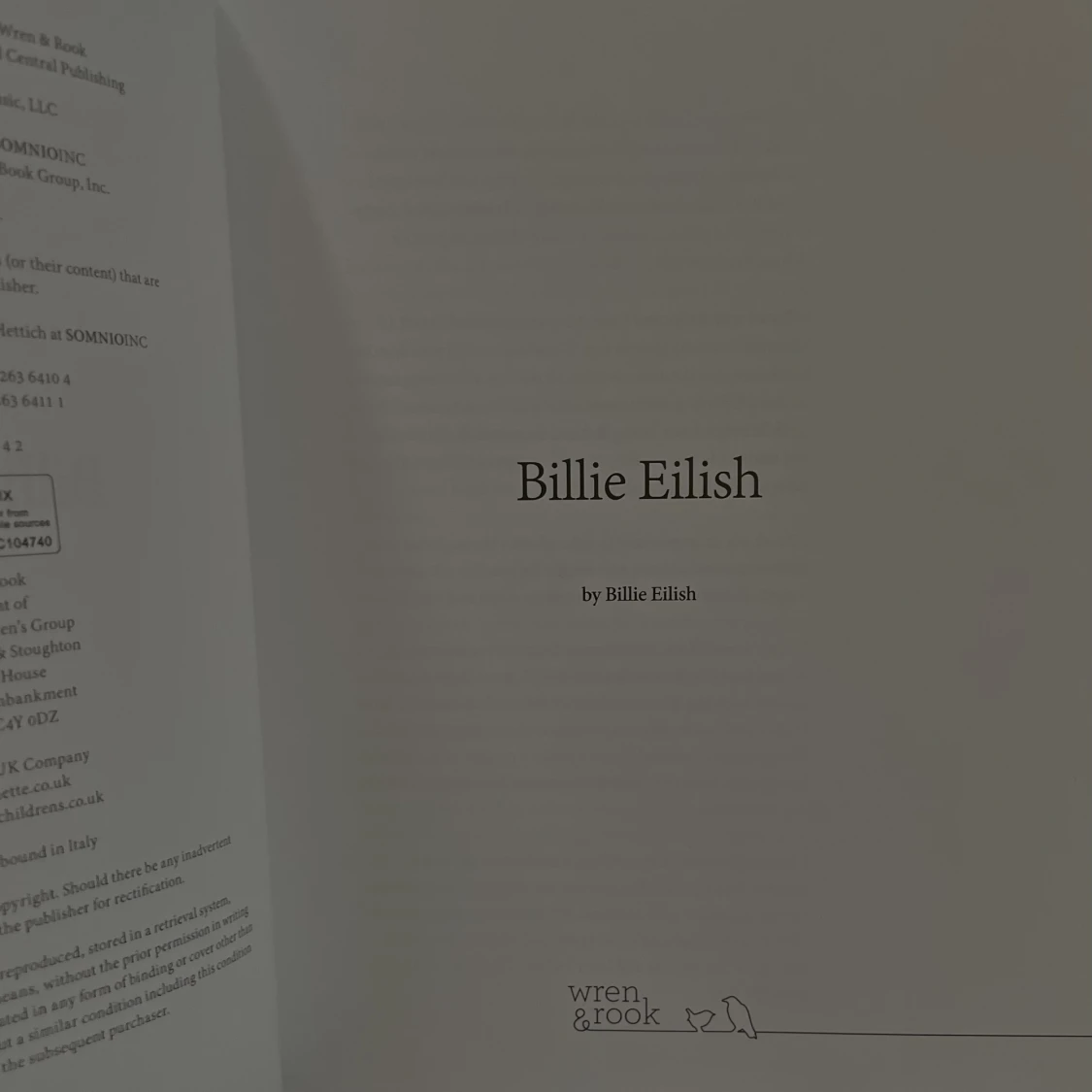Billie Eilish coffe table bok - 90