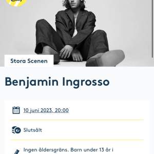Jag söker 2 biljetter till Benjamin Ingrosso konserten på liseberg 10 juni