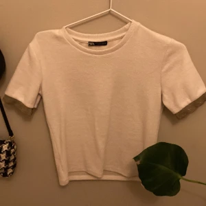Zara topp - Zara topp, alldeles ny och endast tvättad en gång och prövad! 
