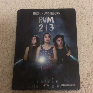 Bok - Rum 213 var min varit bok under 2016 och jag rekommenderar den starkt för dig som försöker gilla böcker. Priset kan också diskuteras.