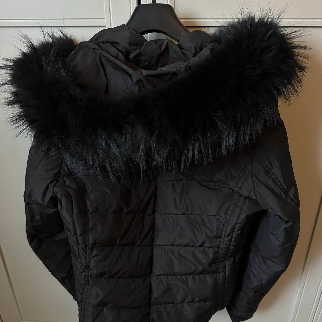 Rock and Blue jacka - 91