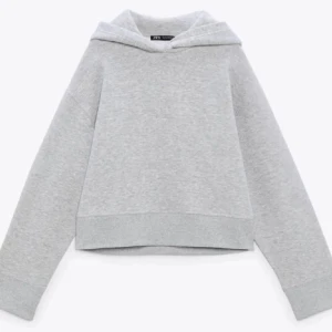 Grå Hoodie Zara - Ljusgrå mysig hoodie från zara stolek S. Tröjan har inga slitage och är i bra skick💕