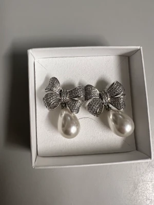 Örhängen från Sandra Theresa  - Använda 1 ggr  Nypris 1499kr