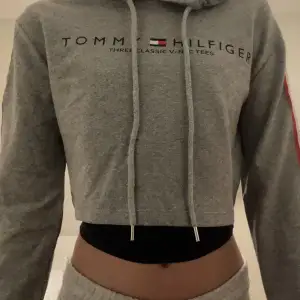 En Tommy Hilfiger hoodie, kort, grå med text på bröstkorgen och ärmarna