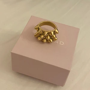 Edblad ring NYSKICK - Säljer denna Edblad ring i NYSKICK🤩 då jag ska byta till silver! ❗️Går INTE ner i pris❗️inga defekter eller tecken på använding!! Box och allt medföljer! Nypriset är  ca 400kr men säljer för endast 299kr💕💕 postar samma dag🥰