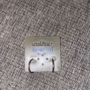 Örhängen - Ett par ring örhängen från Montini i färgen silver guld