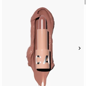 CAIA läppstift - Oanvänd läppstift från Caia i färgen Chick 🤍ord pris 195kr