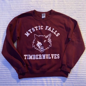 The Vampire Diaries Timberwolves hoodie ❤️‍🔥 - 🤎 Så mysig och unik tvd Mystic Falls tröja~ perfekt till hösten 🍂 🤎 Vintage, inköpt dyrt på Depop! Fint skick och enbart provad. Storlek M. 🍁Kolla gärna in min profil för fler plagg och mycket y2k! 🤎