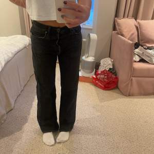snygga acne jeans bootcut straight 