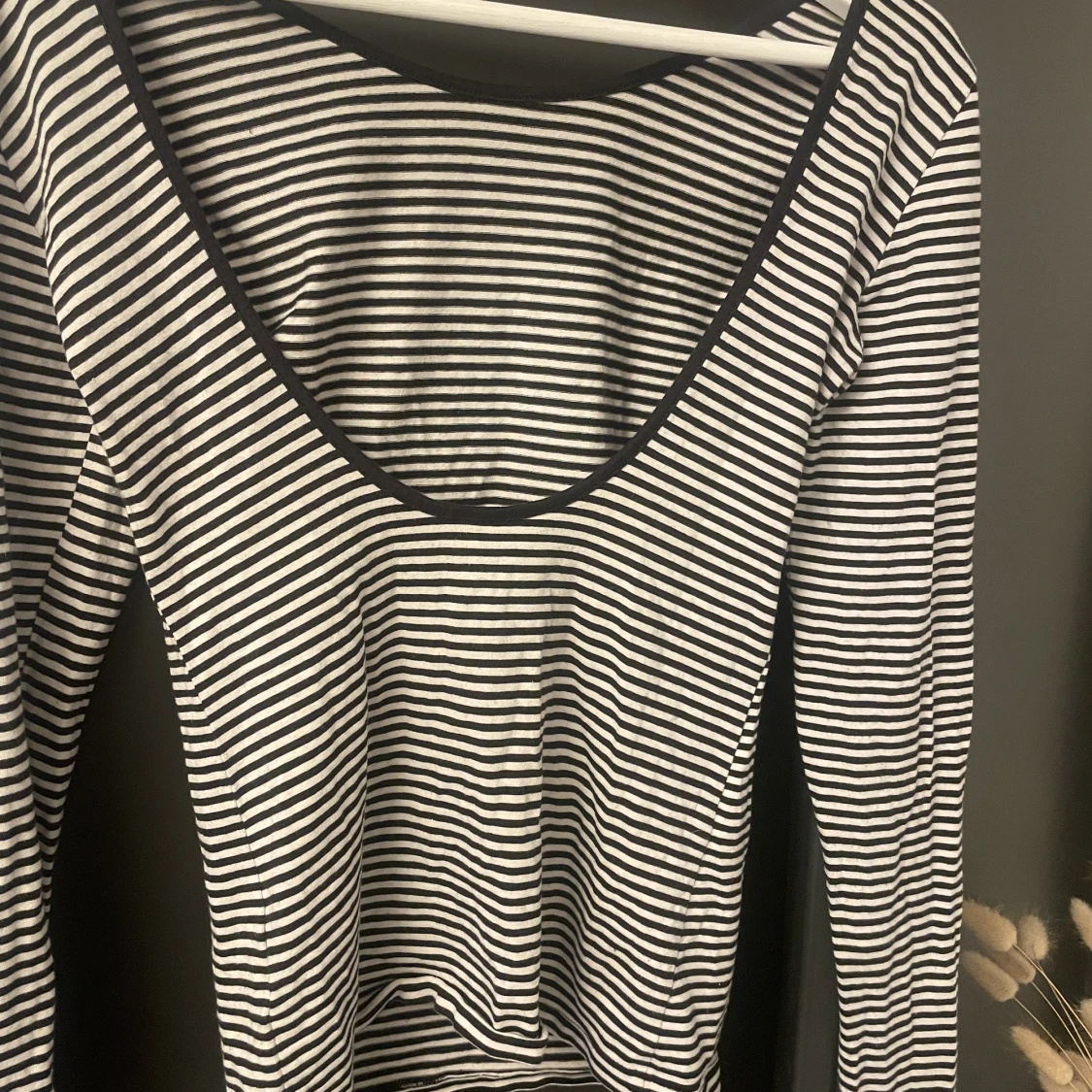 Randig långarmad  - 91