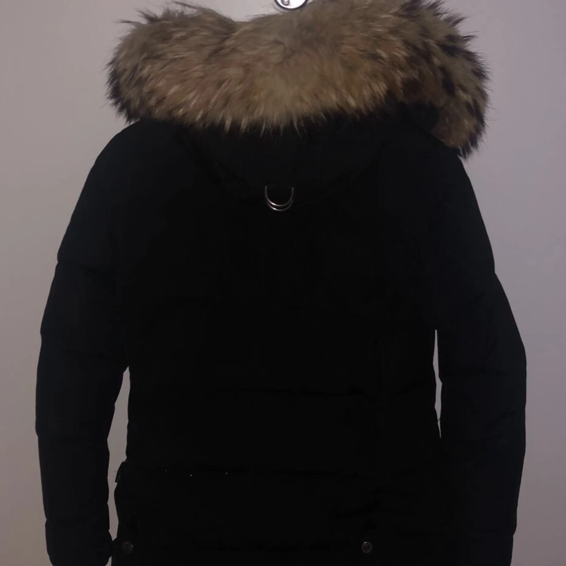 Hollies jacka dam  - 91