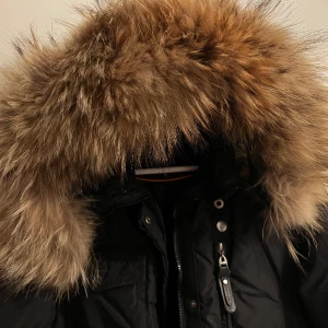 HOLLIES - HOLLIES jacka dam