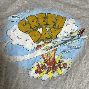 Green Day Merch - Green Day T-shirt, tryck från albumet Dookie. Köpt för flera år sen på Shock i göteborg! Har aldrig riktigt kommit till användning så nyskick på denna t-shirt!