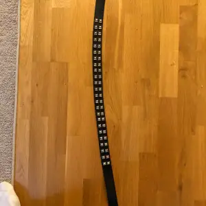 Punk belt 