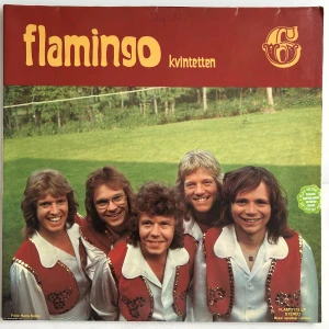 Vinylskiva  - (Köp 5 stycken vinylskivor för 100kr!)🥂