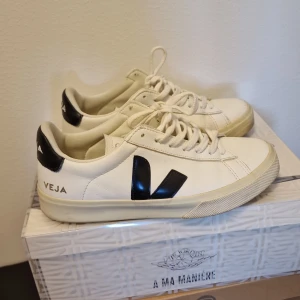 Veja shoes  - Nice veja basket good condition 