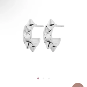 Edblad örhängen  - Säljer mina Edblad örhängen 