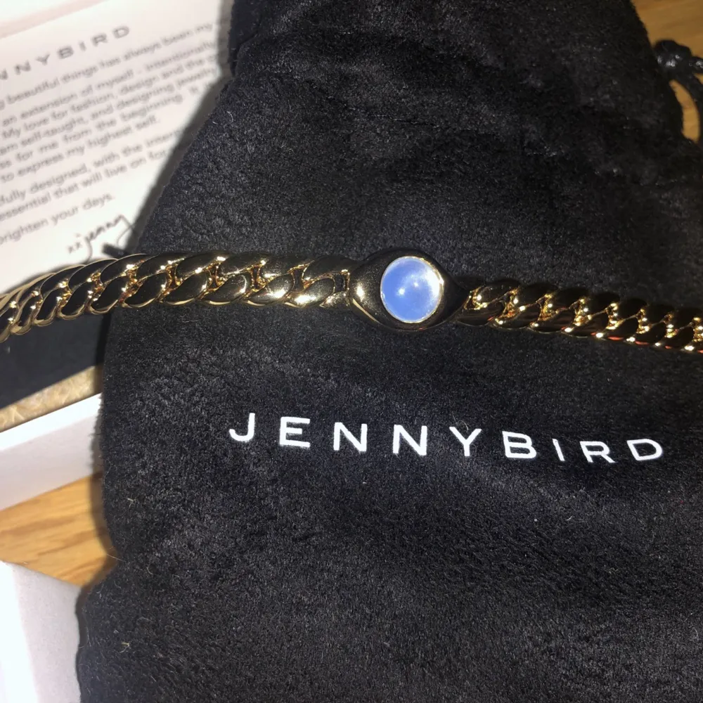 Säljer både halsbandet och armbandet från den populära smyckesdesignern Jenny Bird vars smycken setts på bl.a Kylie Jenner.  Armbandet köptes för ca 1300 kr och halsbandet för ca 1600 kr.    14k guldpläterat. Säljer båda tillsammans för 900kr. . Accessoarer.