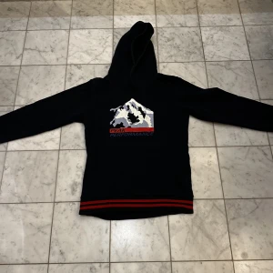Peak perfomance hoodie - Säljer denna sköna peak performance tröjan. Tröjan är i rätt så bra skick och nästan aldrig använd. Tröjan är i storlek 150cm men kan passa på lite längre också 