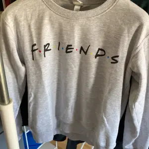 Ljusgrå sweatshirt med logga FRIENDS.
