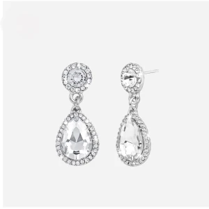 Örhängen  - Säljer mina silver örhängen då de aldrig har används💗 skriv om fler bilder och frågor💗