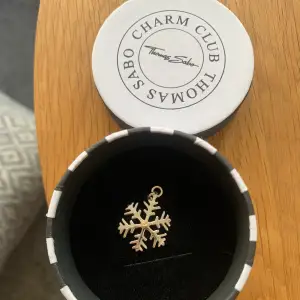 Helt ny!! Thomas Sabo berlock, säljer pga får inte plats med fler. Den är i 925 sterling silver och som sagt helt ny och har kartongen kvar.💫💫