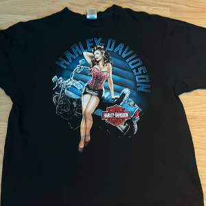 Det är en Harley t shirt jag köpte i en Harley Davidson affär i Göteborg som har den göteborska poseidon statyn på ryggen 
