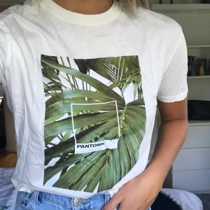 T-shirt från Pull and bear  - T-shirt med tryck från pull and bear och kollektion med Pantone. Asnajs plagg men kommer inte till användning. Sitter toppen på mig som vill ha lite lösare passform. Nyskick. 