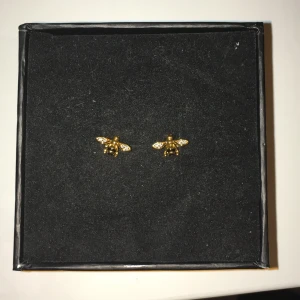 Helt oanvända örhängen - Helt oanvända örhängen som jag fått i julklapp men inte vill ha. De är guld och har inte ens testats! Smyckesask, putsduk och skinnpåse medföljer också. Örhängenas värde är 800kr men säljer de för 300kr