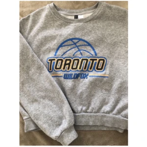 Sweatshirt  - En cool 💙sweatshirt💙 ifrån H&M i storlek L! Den är lite croppad. Köparen står för frakten! Kan även mötas upp