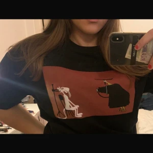 Zara tröja (rosa pantern) strl M  - Har aldrig använt den! Så gott som ny! 