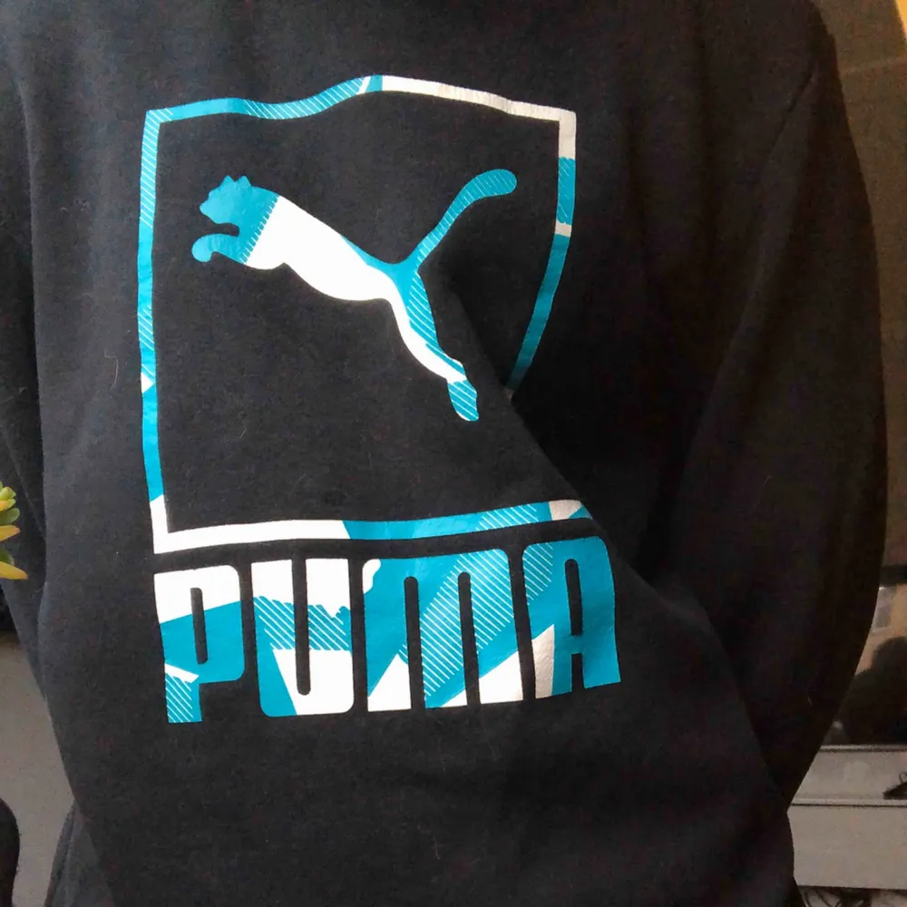 Tröja från Puma. Köpt begagnad men i fint skick! Katt finns i hemmet! . Hoodies.