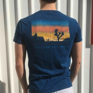  - Grön-blå Hollister t-shirt. Storlek S. Frakt ingår inte.