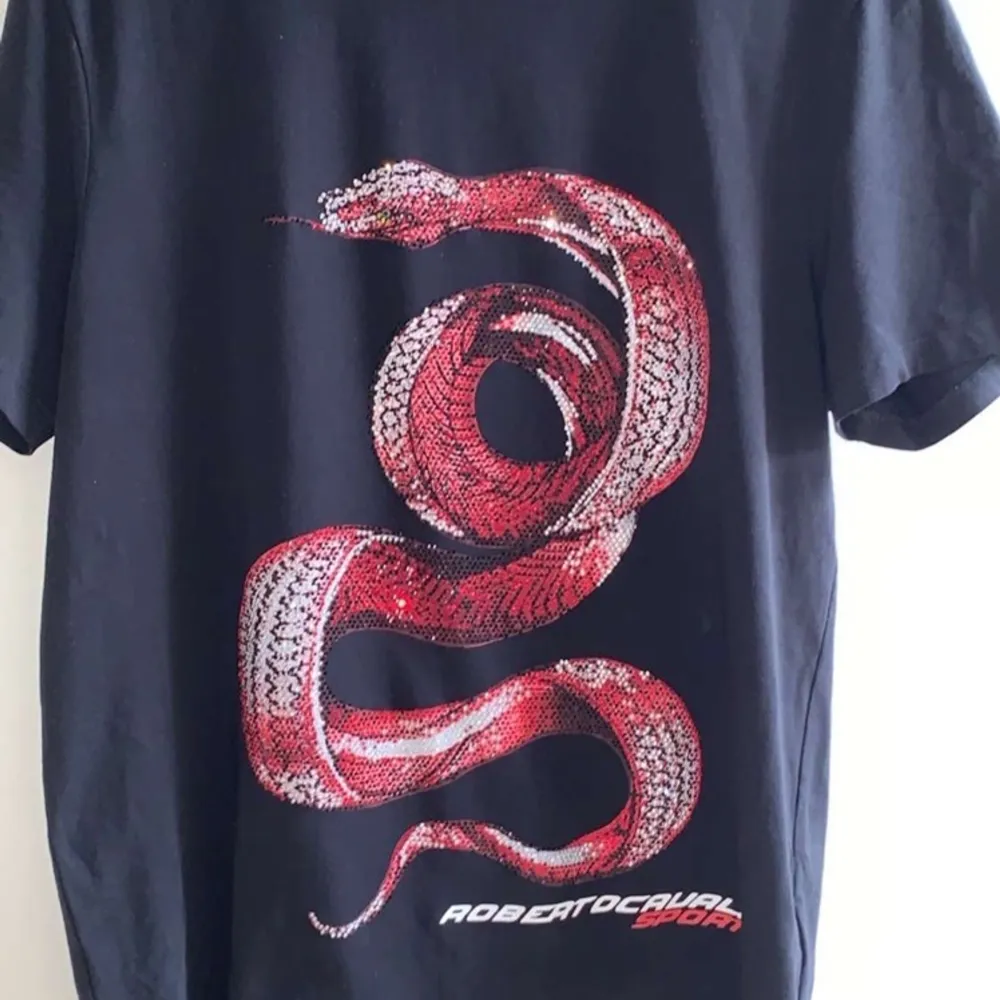 Roberto cavalli T-shirt köpt på nk för 2300kr säljes för 1000kr storlek m pris kan diskuteras vid snabb affär. T-shirts.