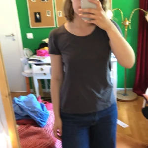 Grå T-shirt  - En enkel grå T-shirt från Mexx strl L, mötas eller leverera