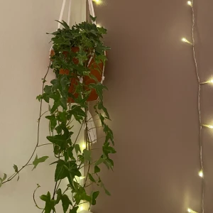 Trendig ampel  - Super fin ampel som du kan hänga upp din växt, väldigt trendiga nu men dyra för bara lite rep. Kan hålla en stor kruka! Frakt tillkommer eller hämtas i Malmö. 