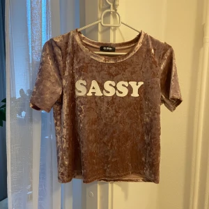 Rosa topp i sammet  - Storlek 34. Perfekt för mys! Eller varför inte piffa upp med ett par kostymbyxor?