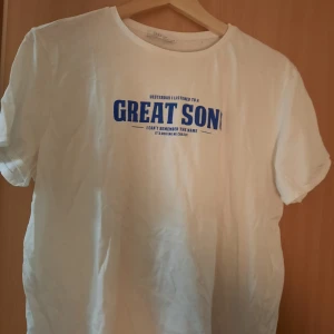 Zara T-shirt i L - Tisha frpn Zara som jag köpte, memen anvönde en gång. Trycket är dock väldigt relatable:) Kan mötas upp eller skicka, jag står INTE för frakten