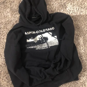 Oversized hoodie brandy melville - Oversized hoodie frpn brandy melville i ONE SIZE (oanvänd) frakten är inkluderad i priset❤️